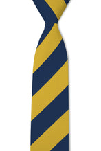Load image into Gallery viewer, Goldman missionary tie